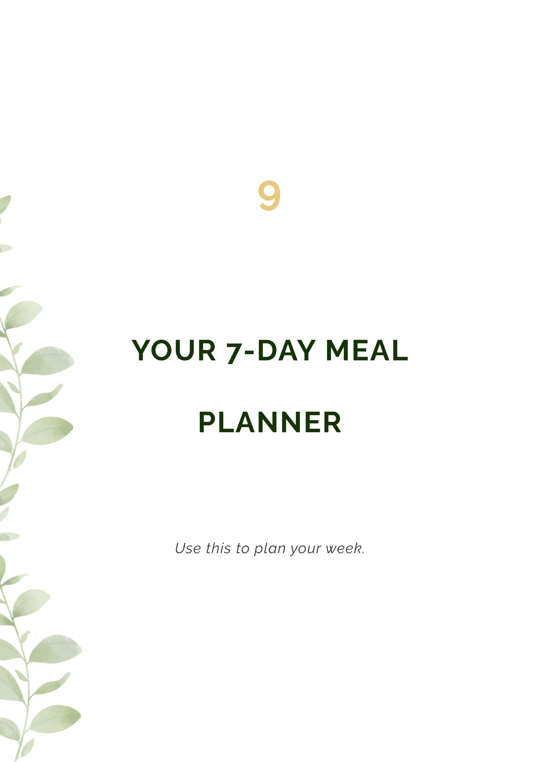 7-day meal planner
